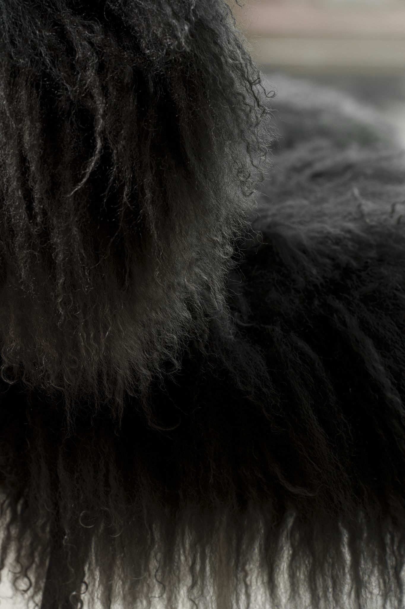 Кресло Nepal Black Special Edition — Baxter, металл, фото 6