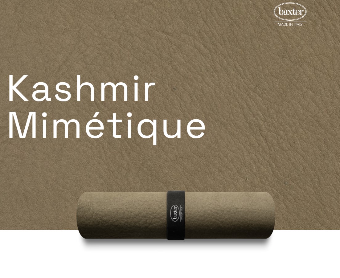 Кресло Sorrento Kashmir Mimétique — Baxter, кожа