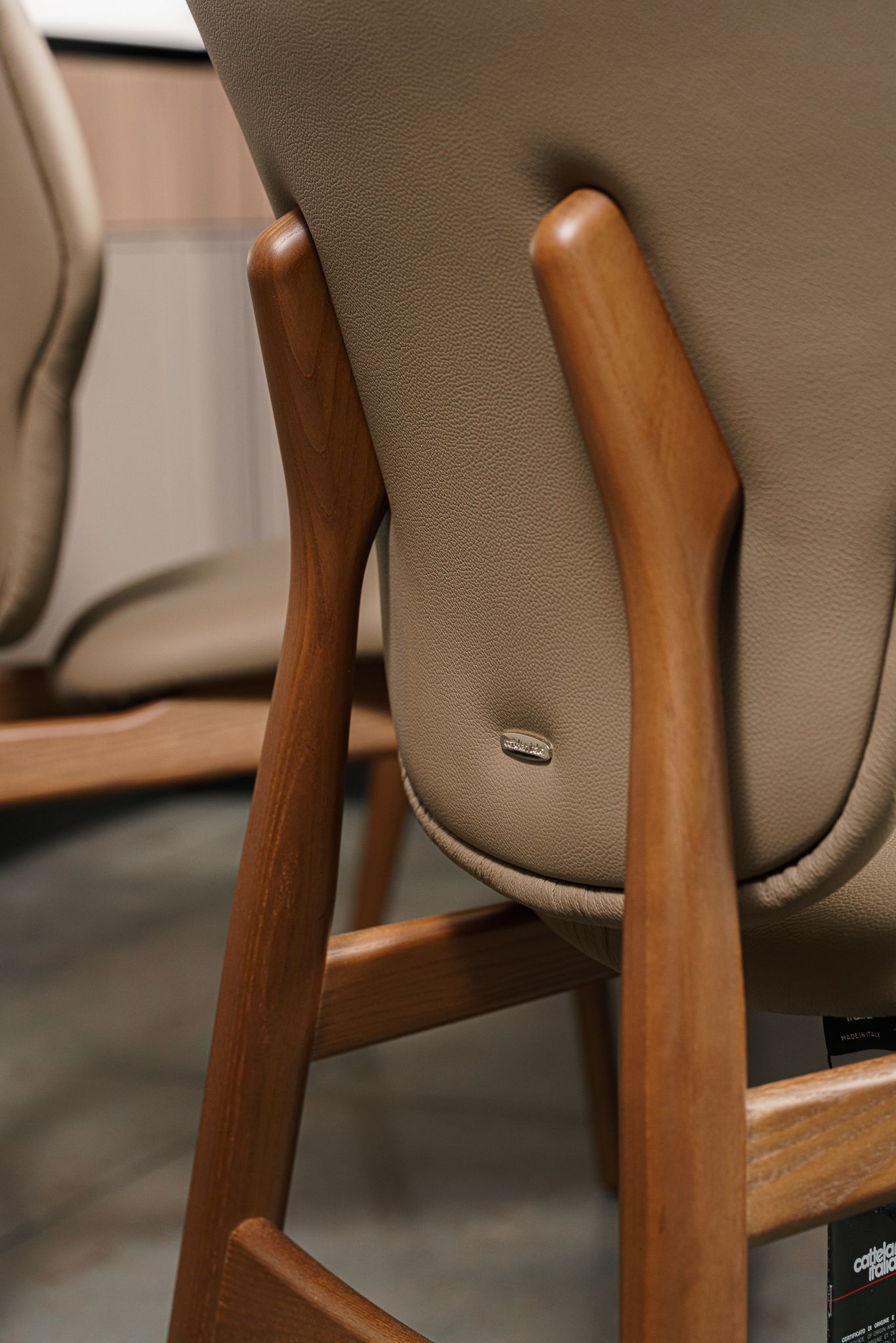 Стул Dumbo Fango / Canaletto Walnut — Cattelan Italia, кожа, фото 6