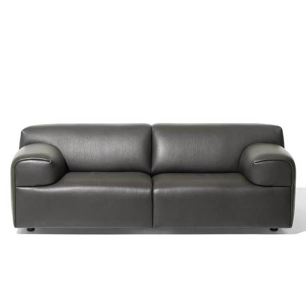 Диван DS-820 — de Sede, кожа