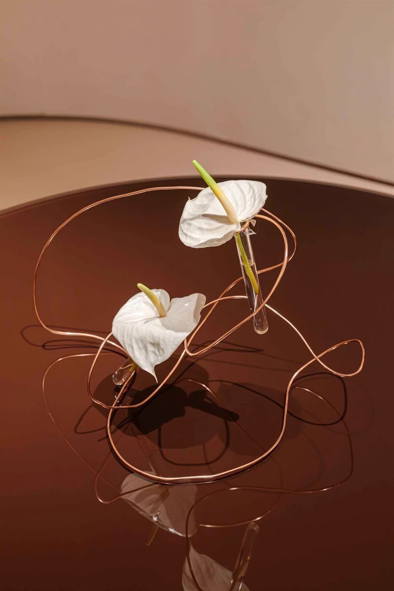 Стол Oto — Gallotti & Radice, стекло, фото 2