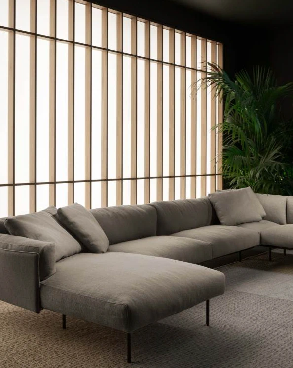 Современный дизайн Диван Greene System — Living Divani, кожа, фото 2