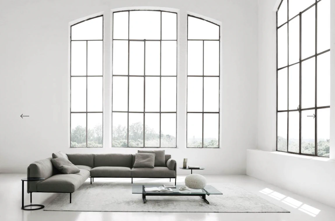 Современный дизайн Диван Greene System — Living Divani, кожа, фото 3