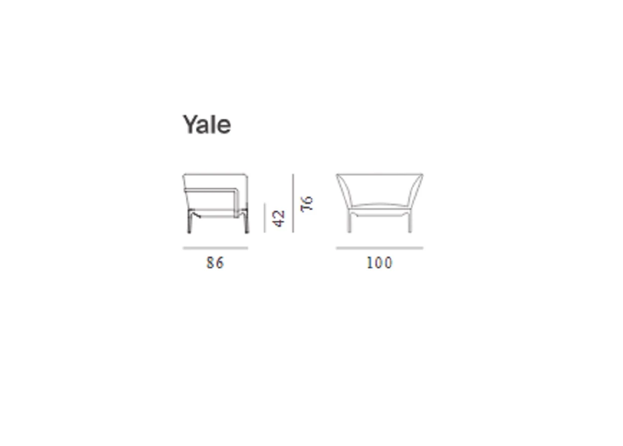Каркас и наполнение: металл. Современный дизайн Кресло Yale Armchair — MDF Italia, кожа, фото 4
