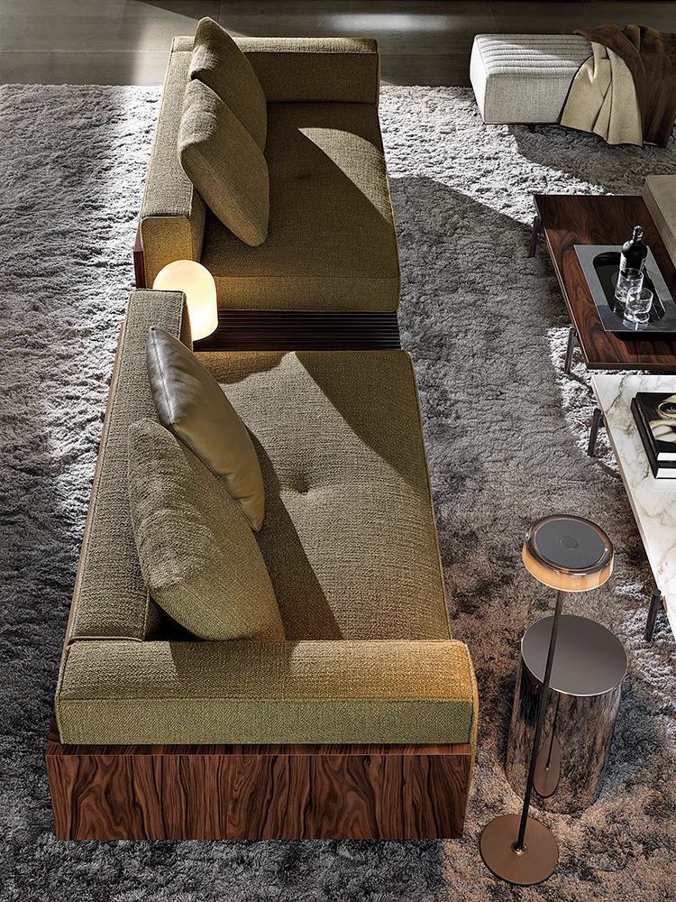 Диван Brasilia — Minotti, кожа, фото 4