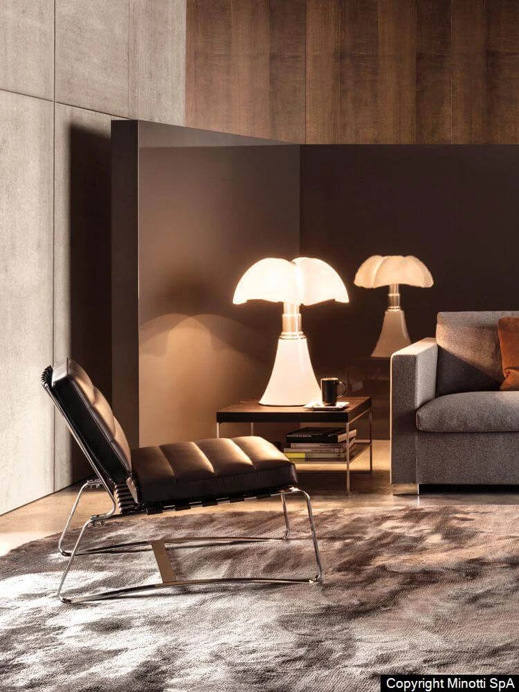 Кресло Delaunay — Minotti, кожа, фото 2
