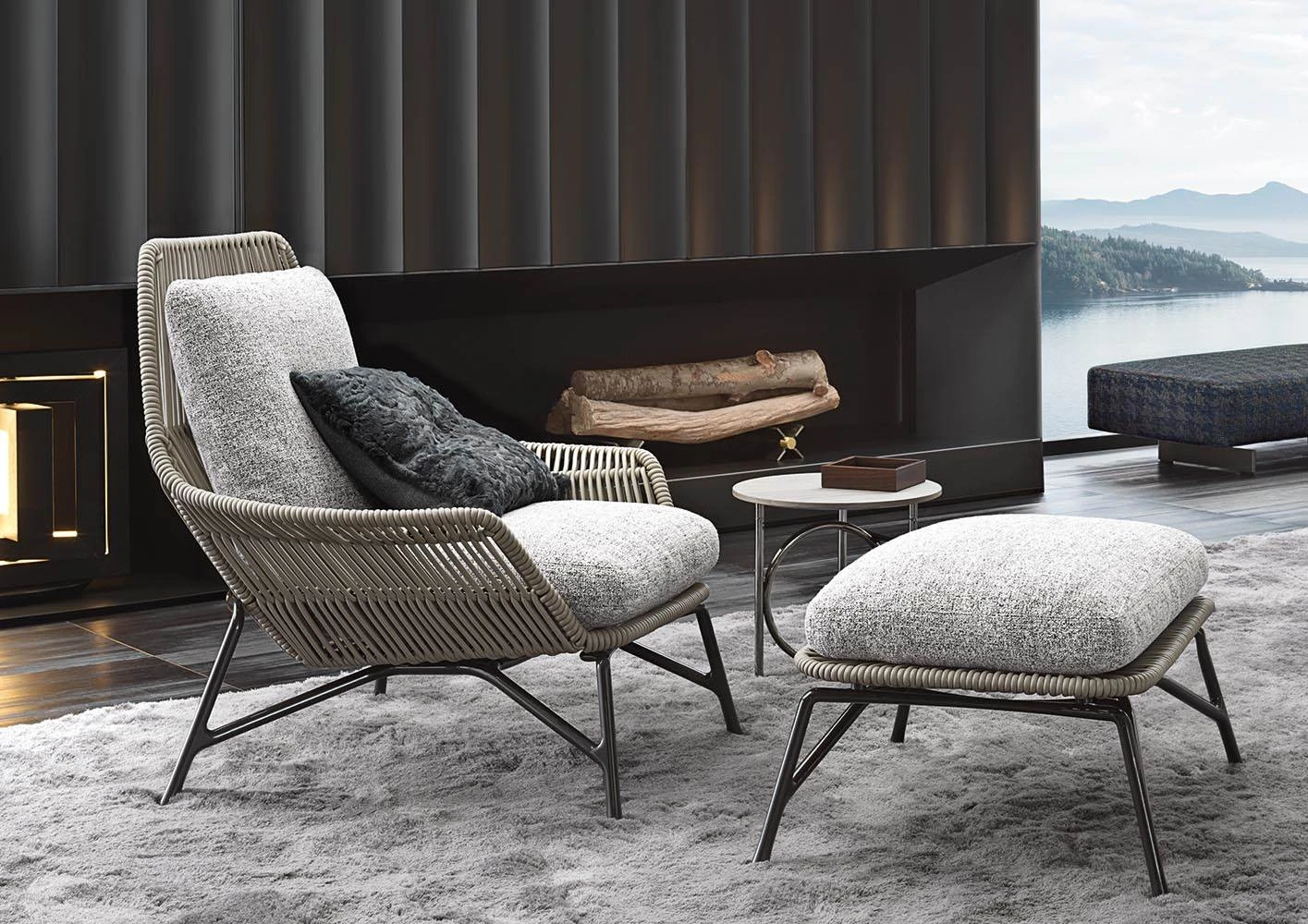 Кресло Prince "Cord" Indoor — Minotti, кожа, фото 2
