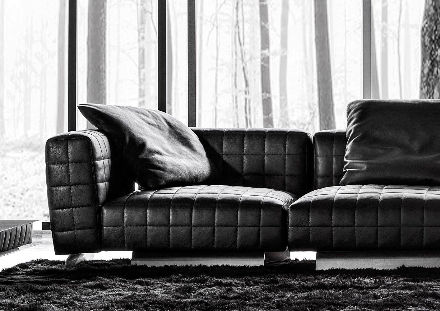 Диван Twiggy — Minotti, кожа, фото 6