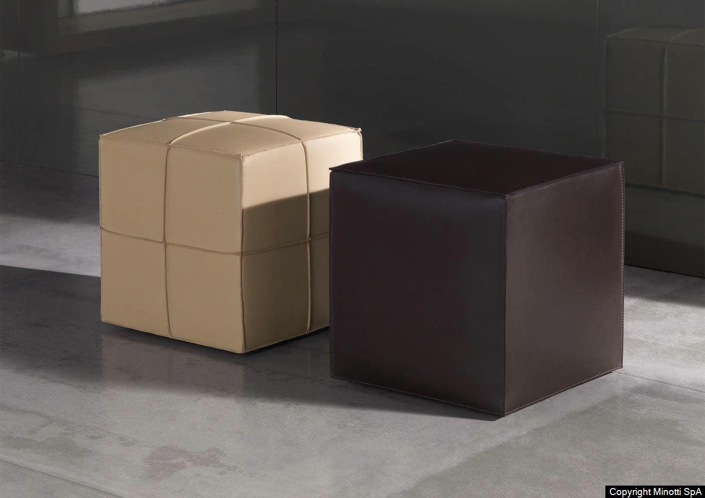 Пуф Villon — Minotti, кожа, фото 3