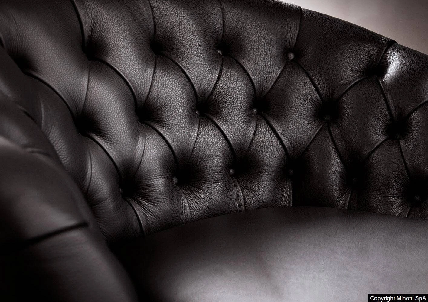 Кресло Winston — Minotti, кожа, фото 6