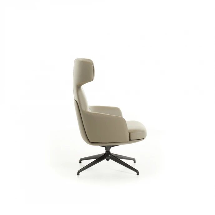 Кресло Piccadilly — Molteni & C, кожа, фото 5